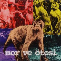 Mor Ve Ötesi : Bırak Zaman Aksın Mor Ve Ötesi : Bırak Zaman Aksın